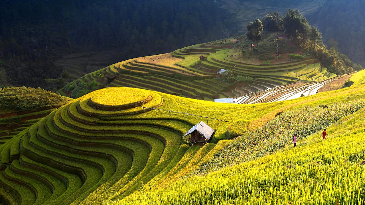 Stunning landscape of lush rice terraces in Đắk Ya, Gia Lai, Vietnam during summer.