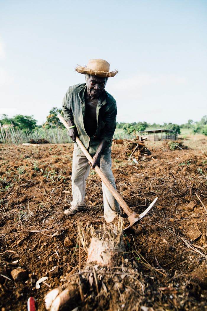 An African farmer wearing a straw hat tills the soil with a spade in a rural countryside field.