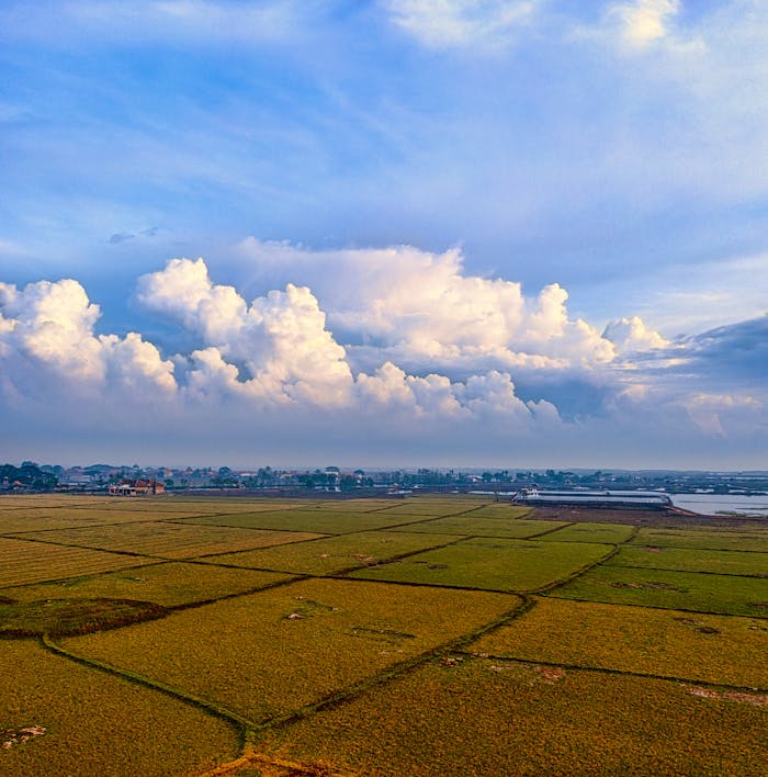 Expansive farmland stretches under dramatic clouds in Banten, Indonesia.